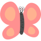motylki