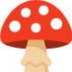 mu
