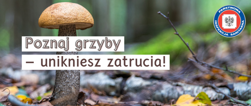 Wycieczka gr. 7