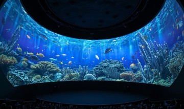 Kino sferyczne z kopulowym ekranem pokazujacym ocean i podwodne zwierzeta sala kinowa z widzami ogladajacymi morskie zycie na panoramicznym ekranie ryby koralowce zycie podwodne wyswietlane na sferycznym ekra