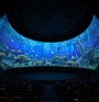 Kino sferyczne z kopulowym ekranem pokazujacym ocean i podwodne zwierzeta sala kinowa z widzami ogladajacymi morskie zycie na panoramicznym ekranie ryby koralowce zycie podwodne wyswietlane na sferycznym ekra