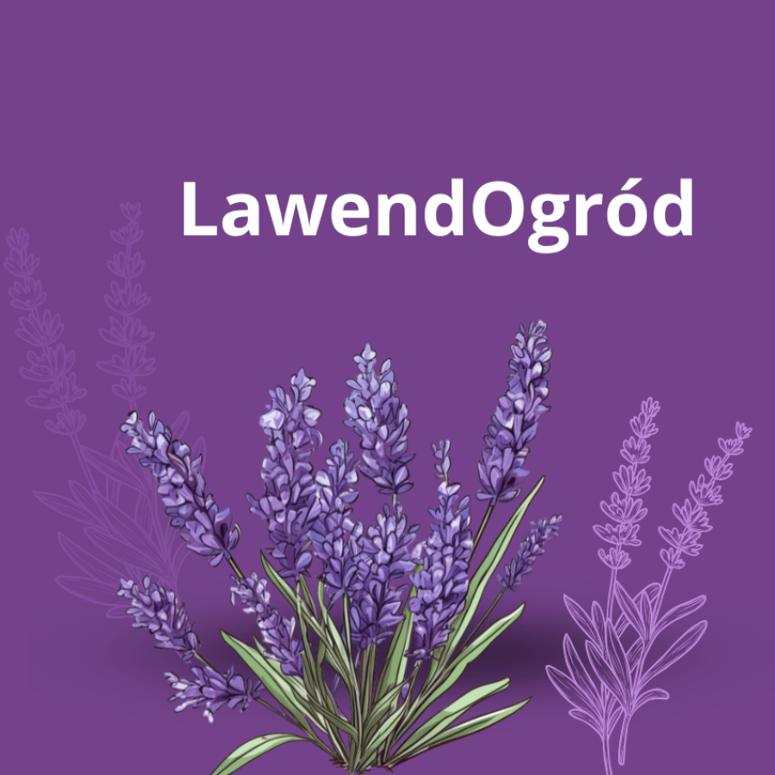 LawendOgród gr. 7