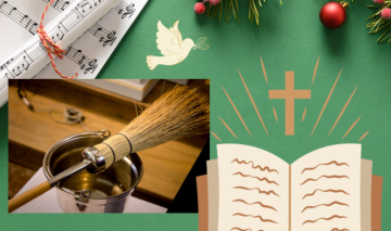 Projekt bez nazwy 6 v2 ScaleWidthWzg2MF0