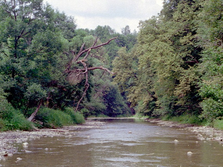 Spacer nad brzeg Wisłoka gr. 2