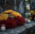 chryzantemy i znicze polskie cmentarze