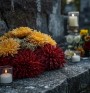 chryzantemy i znicze polskie cmentarze