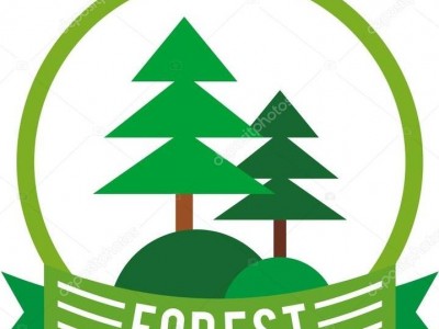 depositphotos 116237764 stock illustration forest logo and tree pine