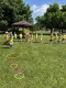 galleries/189b11f2-3f71-495d-ac74-d011232df21d.jpg