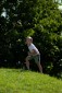galleries/DSC_7342.jpg