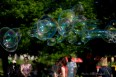 galleries/DSC_7478.jpg