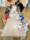 galleries/c9d67397-3a28-4ad7-9f32-ced6bf02c774.jpg