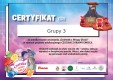 galleries/certyfikat-4-grupy-3_page-0001.jpg
