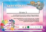 galleries/certyfikat-6-grupy-3_page-0001.jpg